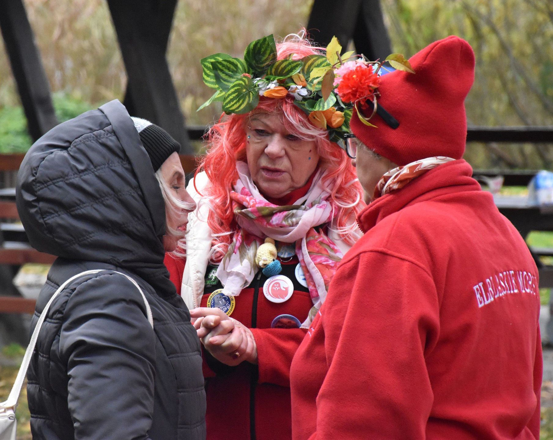 Nowy sezon morsowania w Malborku rozpoczęty