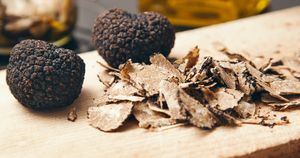 Trufle rosną nad ziemią czy pod nią?