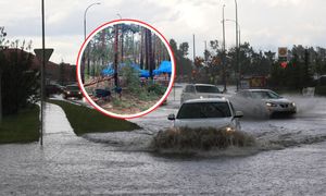 Setki ewakuowanych. Nawałnica uderzyła. Połamane drzewa, zerwane dachy