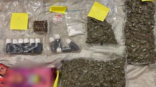 Wielkopolskie: Rodzina rolników ukrywała znaczne ilości narkotyków