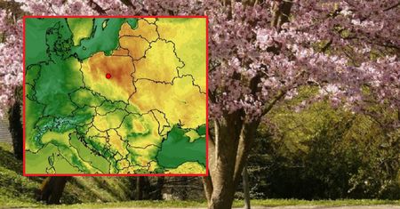 Nagłe ocieplenie przed świętami. Nawet do 28 st. Celsjusza
