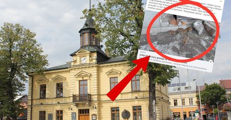 Plaga na Podhalu. "Strach pomyśleć, co dzieje się w piwnicach"