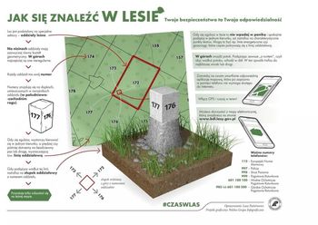 Bezpieczeństwo w lesie. Apel o rozwagę podczas grzybobrania