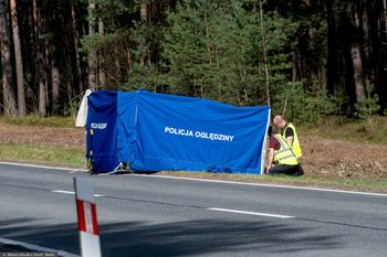 Śmiertelny wypadek na S11 pod Poznaniem. TIR potrącił pracownika
