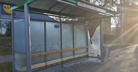 Ktoś zdemolował przystanek autobusowy na Bronowicach