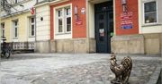 Wrocław ma krasnale, Oława chce mieć koguty. Wiemy, jaka będzie cena jednej figurki