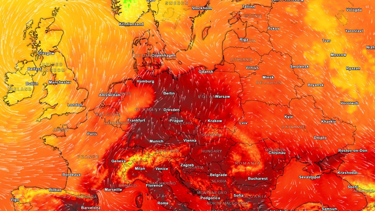 Fala upałów w Europie