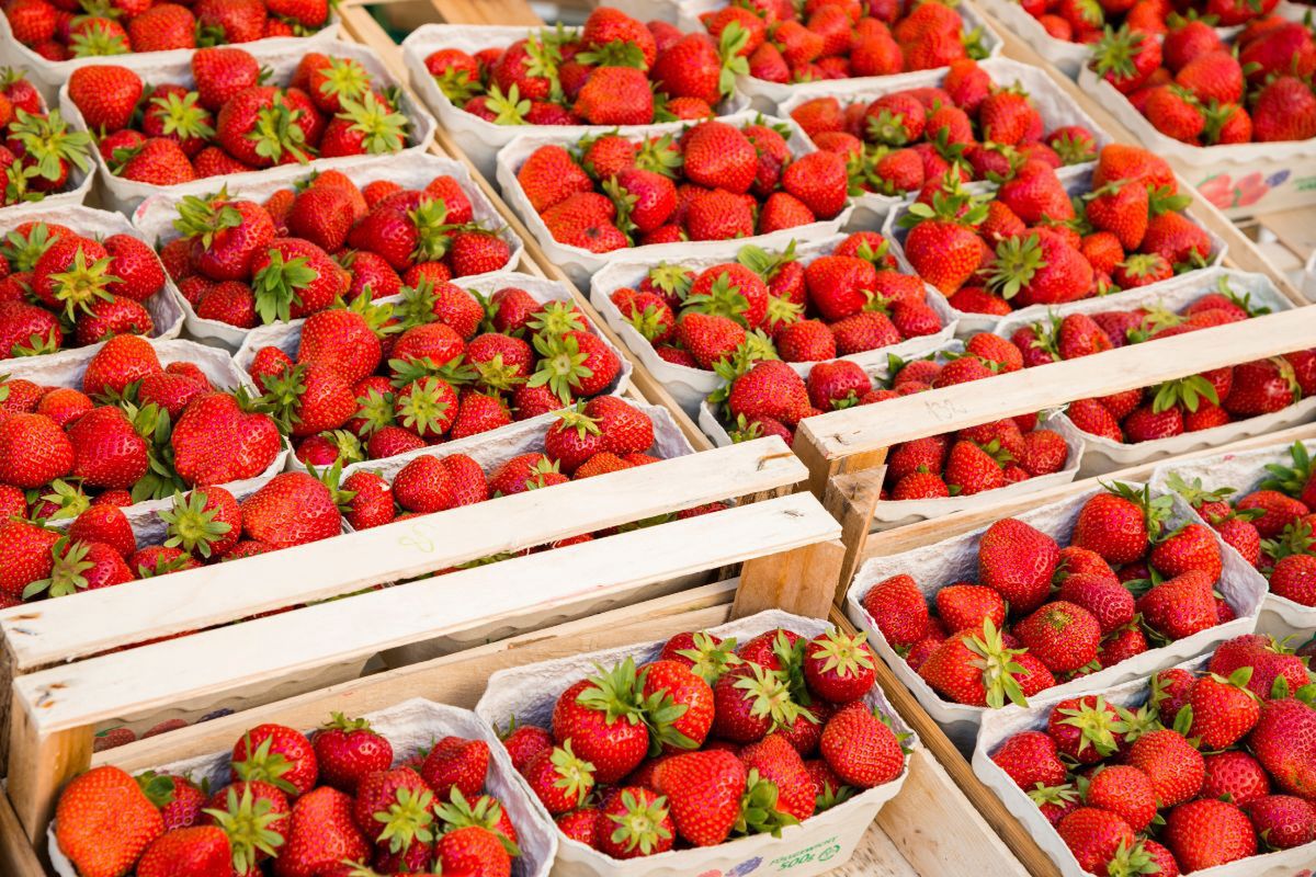 Taka kartka przy truskawkach. Plantator nie gryzł się w język