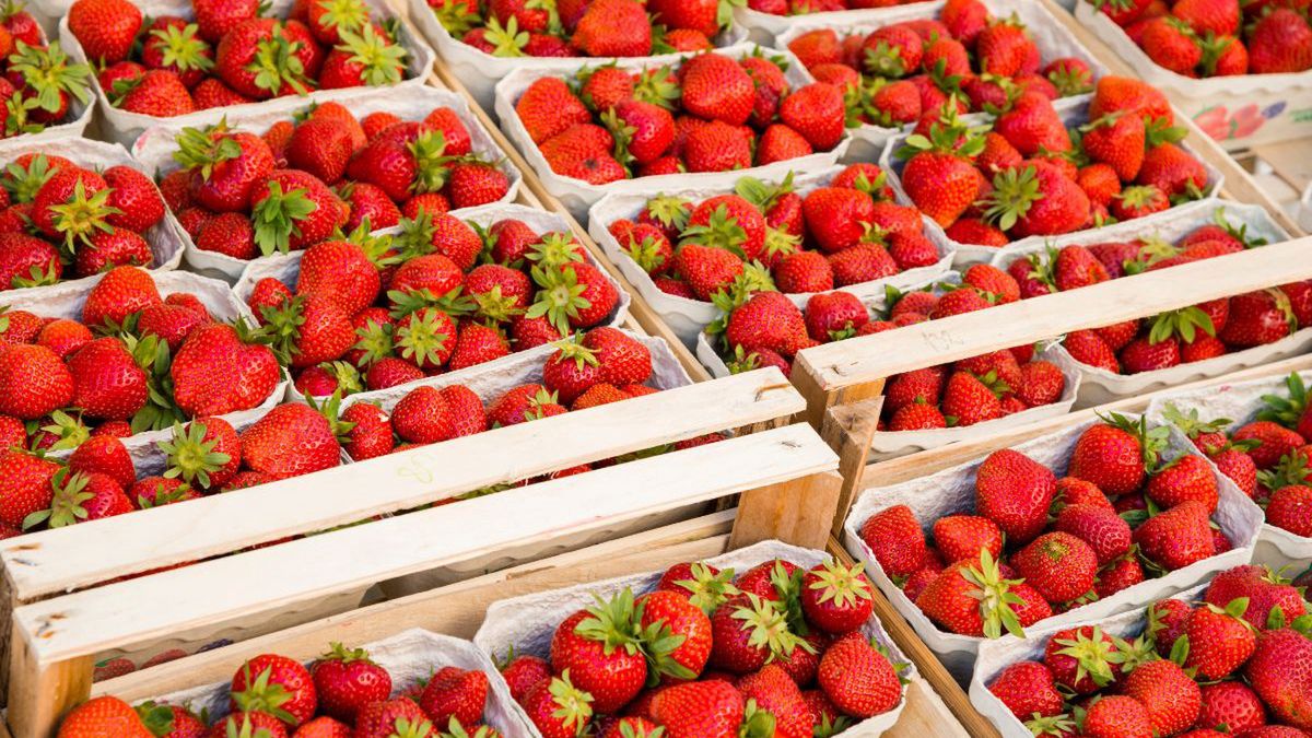 Truskawki (zdj. ilustracyjne)