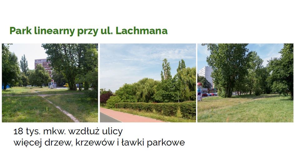 Ochrona bioróżnorodności na terenie Miasta Płocka poprzez tworzenie zielonych przestrzeni publicznych