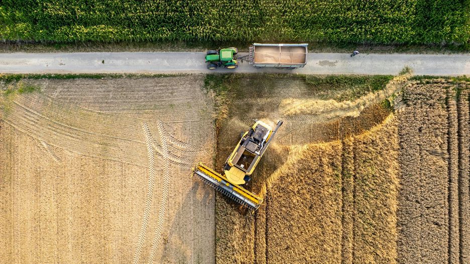Bez dokładnych danych trudno o precyzyjną kalkulację