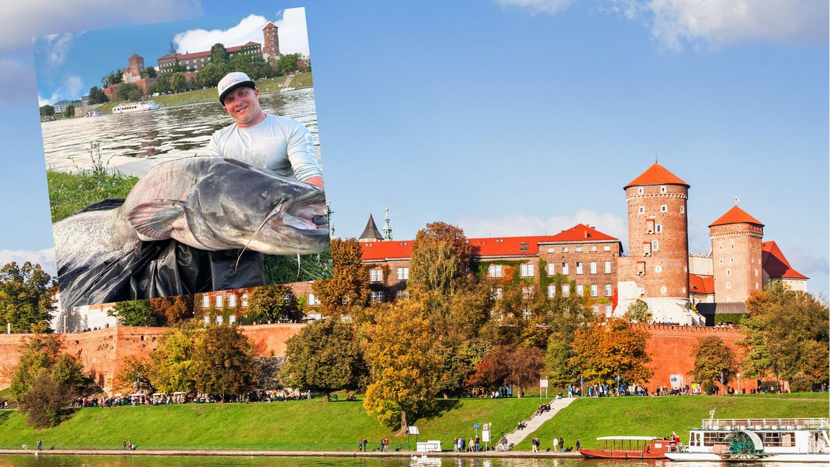 Mężczyzna wyłowił z Wisły rybę giganta