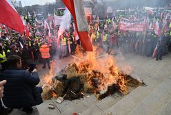 Europejski Zielony Ład. Korzyści przeważają nad chwilowymi kosztami [OPINIA]