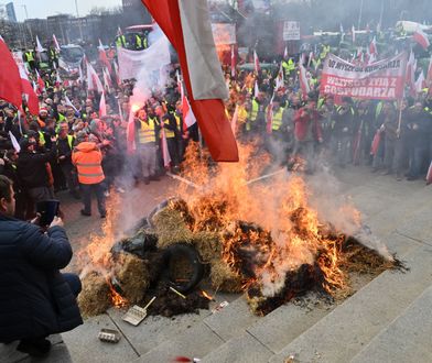 Europejski Zielony Ład. Korzyści przeważają nad chwilowymi kosztami [OPINIA]