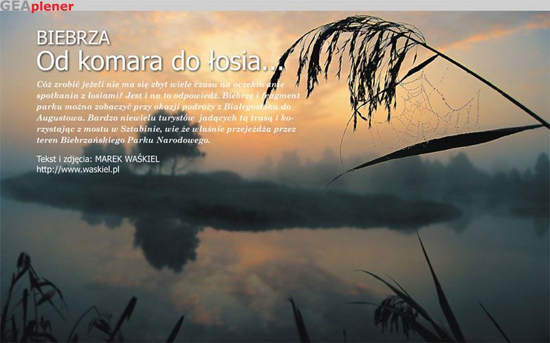 FotoGeA.com - z nosem w gwiazdach 4