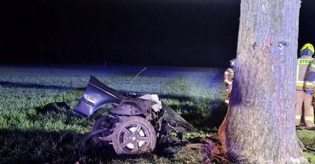 Tragiczny początek Wielkanocy. BMW uderzyło w sarnę, a potem w drzewo