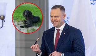 Nawrocki zawetował ustawę łańcuchową. Co sądzą o tym Polacy?