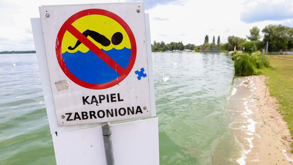 Plaża w Nieporęcie, 26 bm. W jeziorze Zegrzyńskim zakwitły sinice