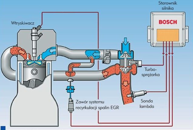 Schemat działania EGR