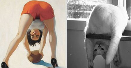 Hit sieci: koty wyglądające jak pin-up girls (ZDJĘCIA)