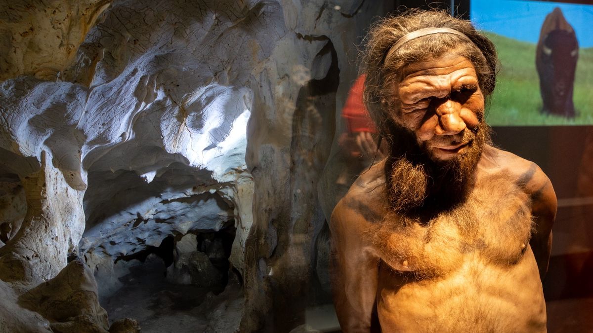 Neandertalczycy i ludzie dzielili kulturę?