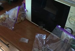 Zawartość zamrażalnika pogrążyła mieszkańca Pruszkowa. Bogaty asortyment