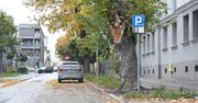 Kielce: Nowe miejsca parkingowe w centrum