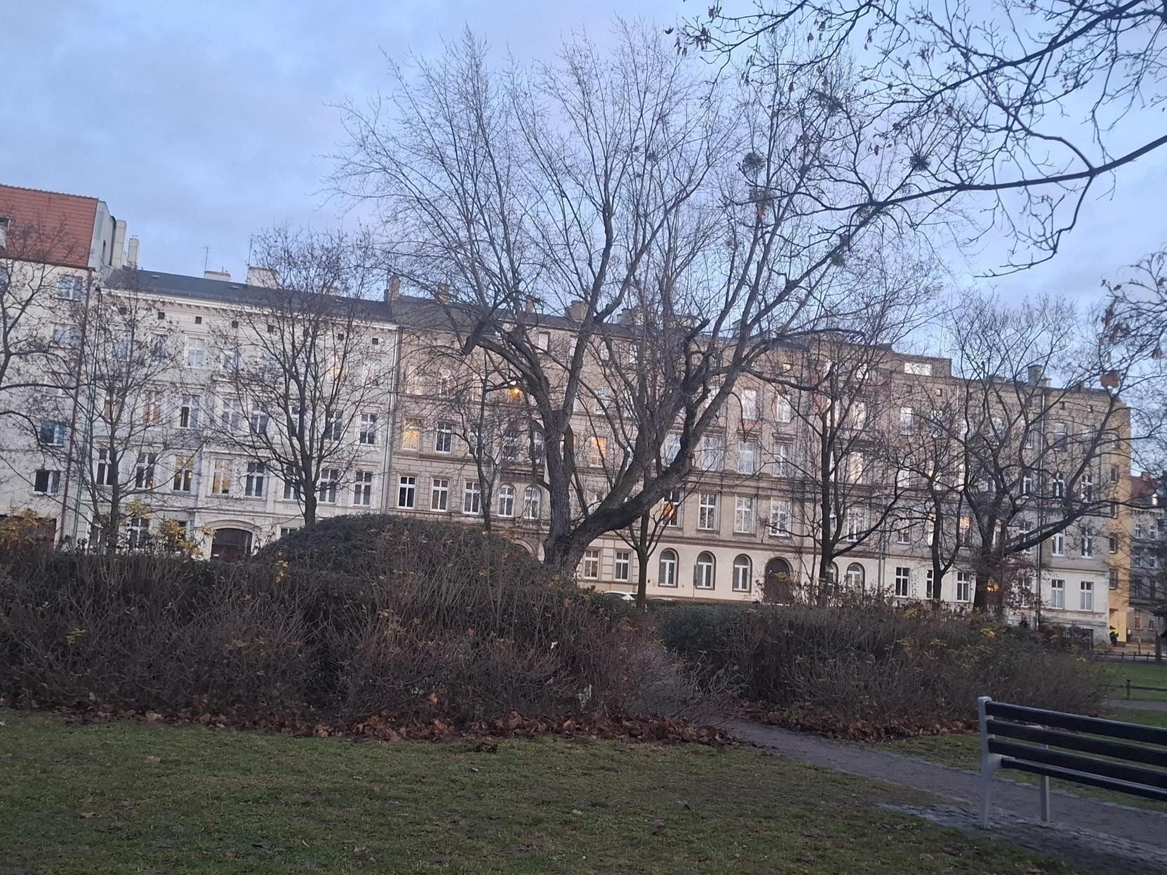Szczurzy park we Wrocławiu. Kolejna &#34;atrakcja&#34;
