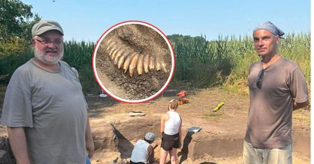 Ma ponad 5 tys. lat. Sensacyjne znalezisko archeologów