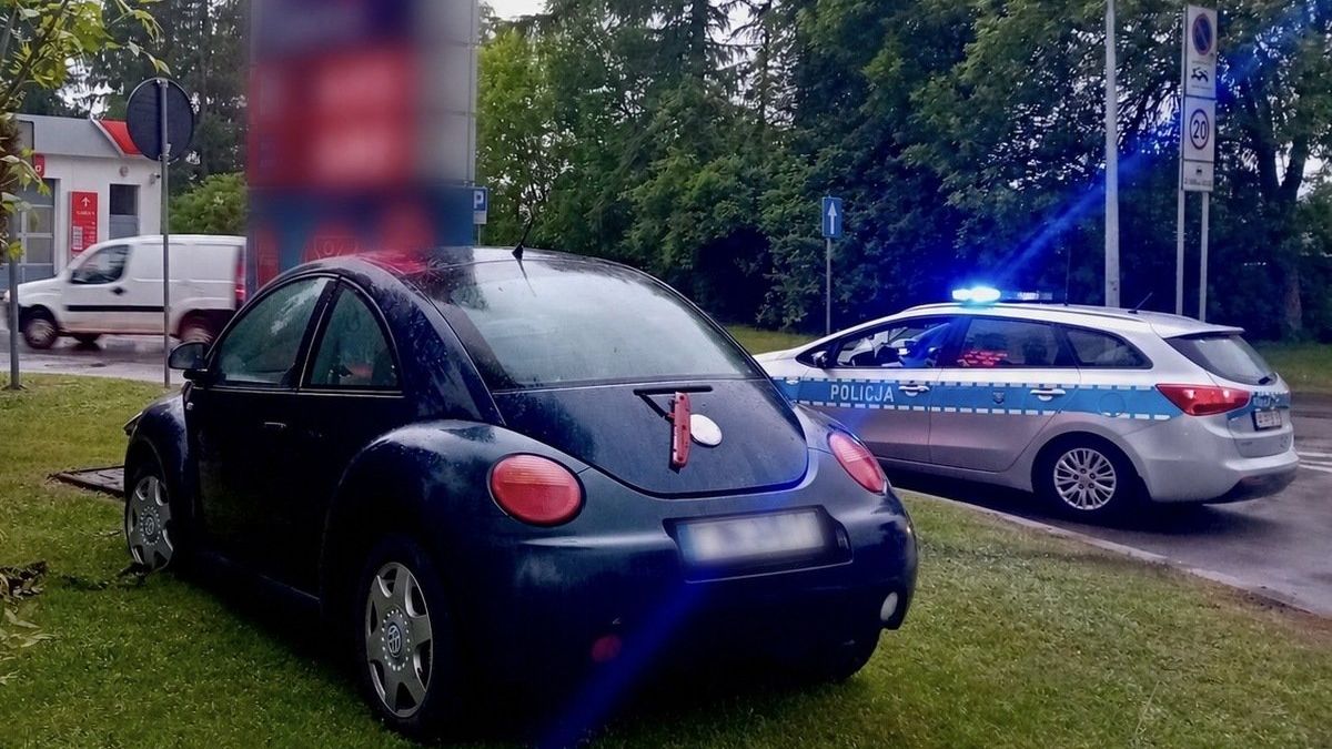 policja