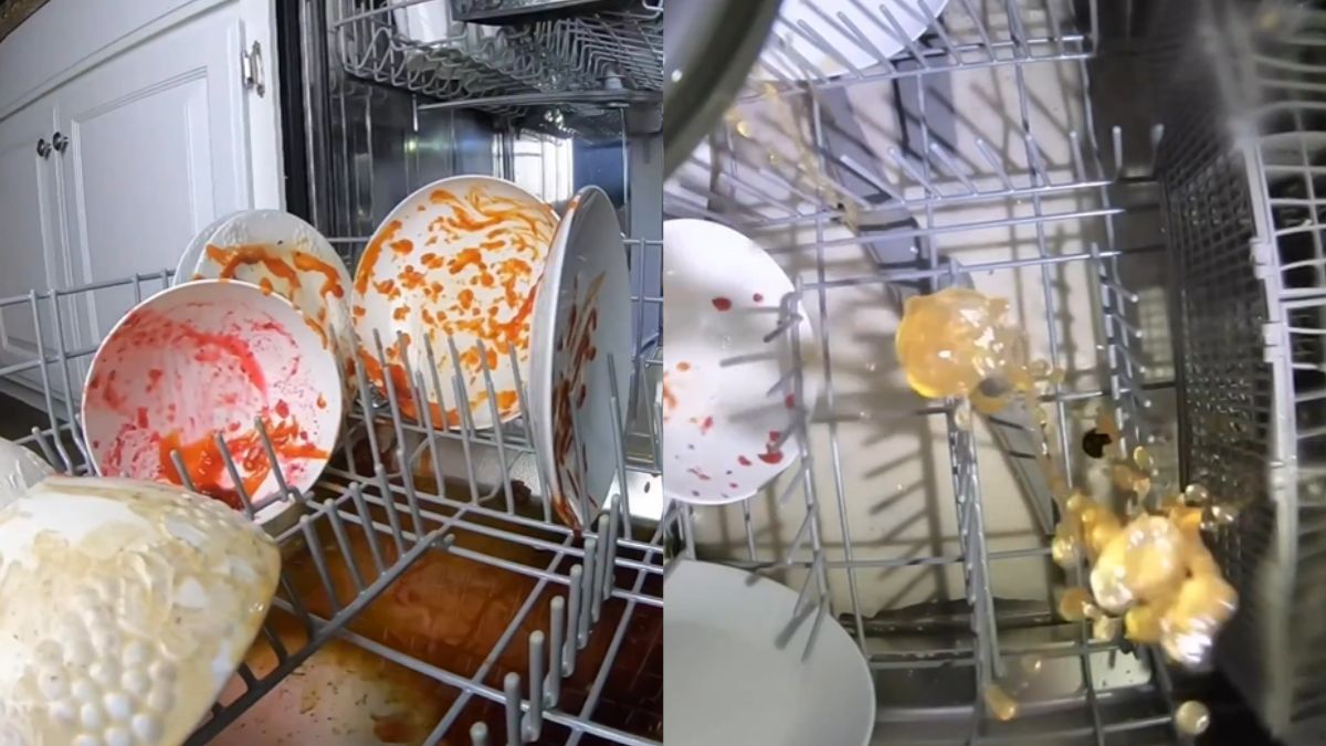 Pewien internauta postanowił sprawdzić, jak działa zmywarka