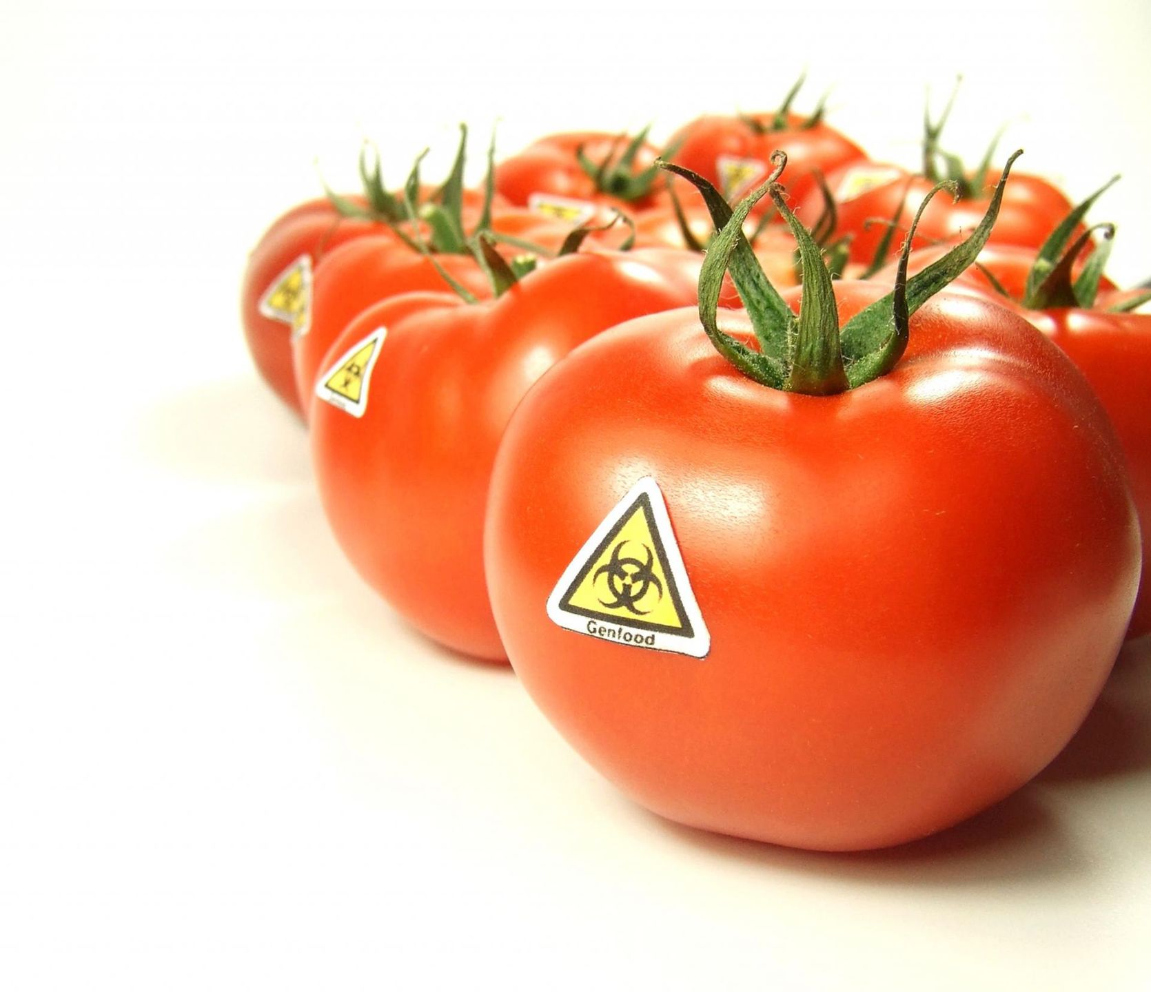 Żywność GMO ma zły wpływ na szczelność jelit 