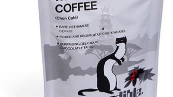 Kawa "zwrócona" przez łasice 1