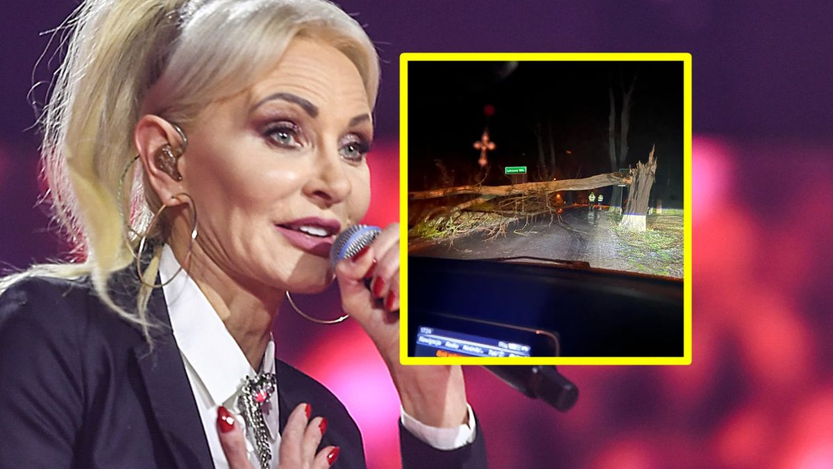 Elwira Mejk pokazała zdjęcia z wypadku