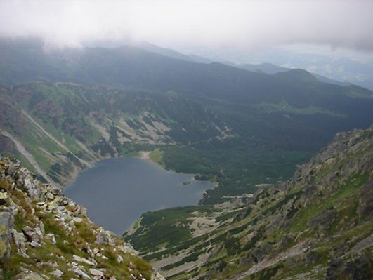 Obraz