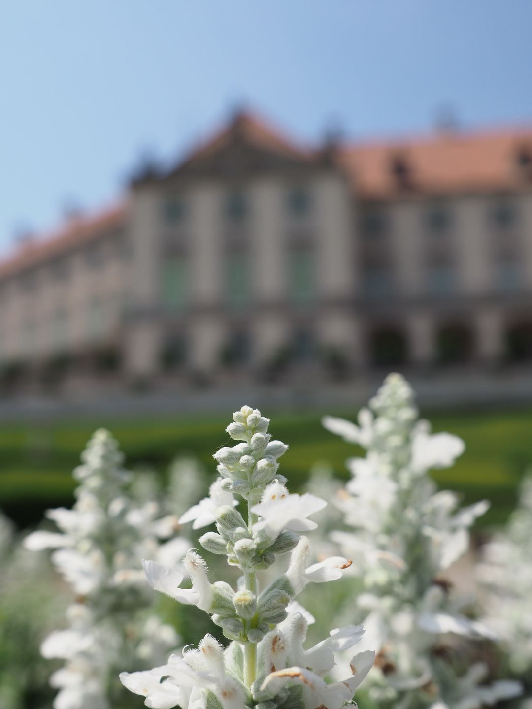 TEST: Jasność u Olympusa, czyli M.Zuiko 17 mm f/1.2 PRO 32