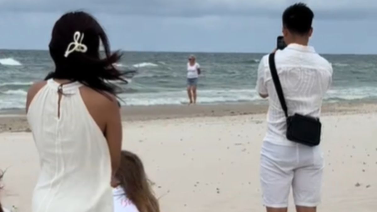 Lis na plaży w Łebie.