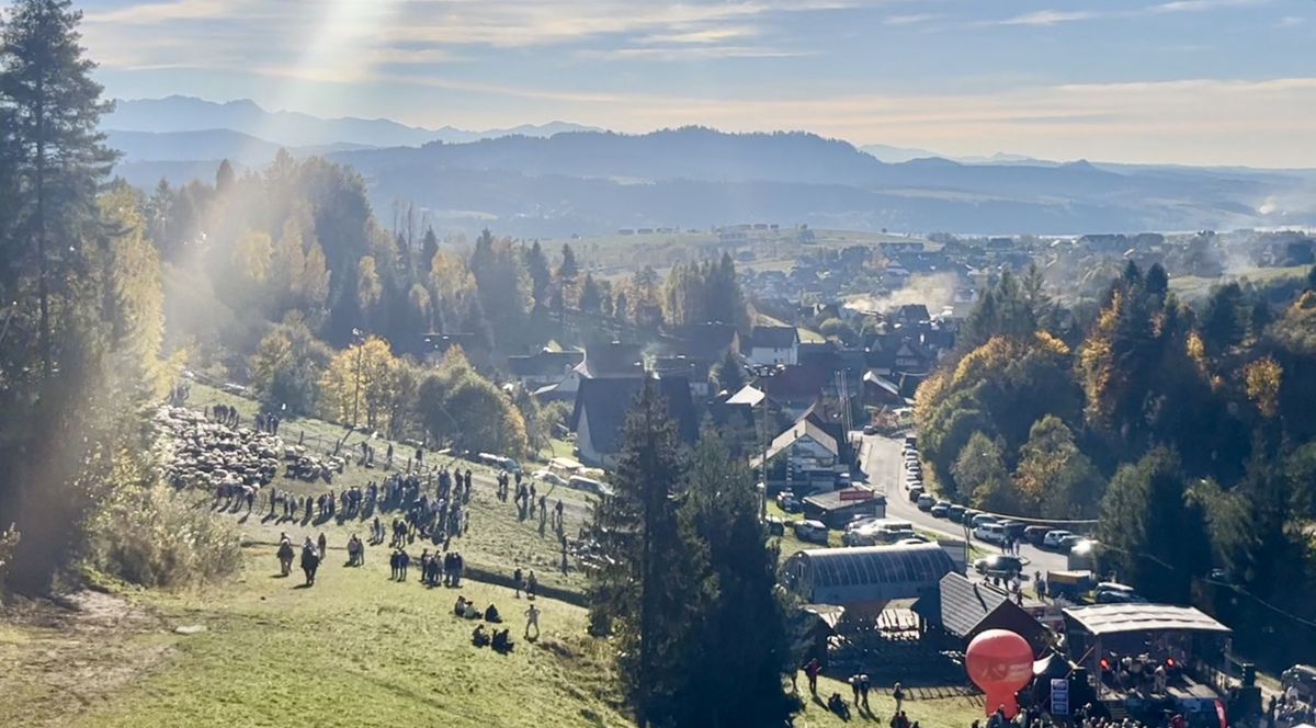 Finał redyku w Kluszkowcach przy dolnej stacji Czorsztyn-Ski