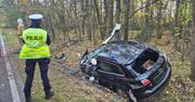 Witaszyn: Mazda uderzyła w drzewo. Kierowca zginął na miejscu
