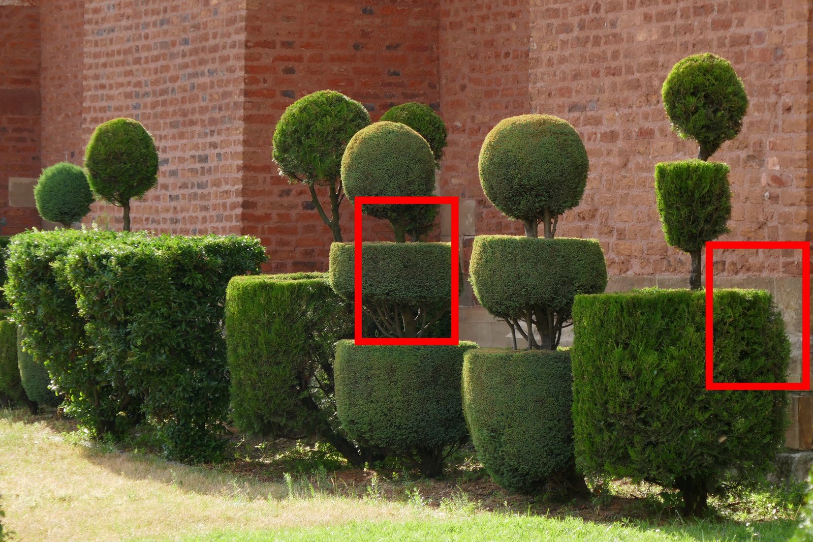 Panasonic TZ100 – maleństwo z klasą [test] 16