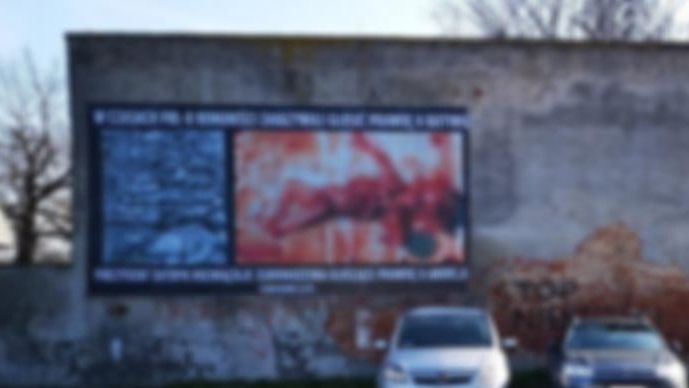 Wrocław. Makabryczne i odrażające treści. Partia Razem zgłosiła drastyczne zdjęcia martwych płodów