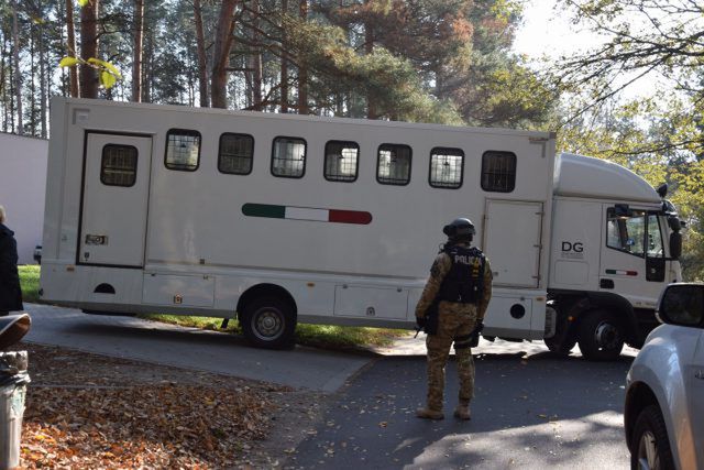 Zwierzęta były w tragicznym stanie, jedno padło. Trzy osoby skazane za fatalny transport tygrysów do Rosji