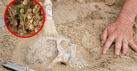 Tajemnicza czaszka sprzed 6200 lat odkryta w Iranie. Przyciągnęła uwagę badaczy z całego świata