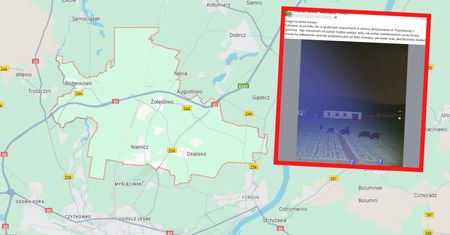 Zobaczyła je podczas spaceru. Od razu chwyciła za telefon