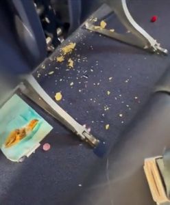 "Najbrudniejszy lot w historii Ryanair". Nagranie hitem internetu