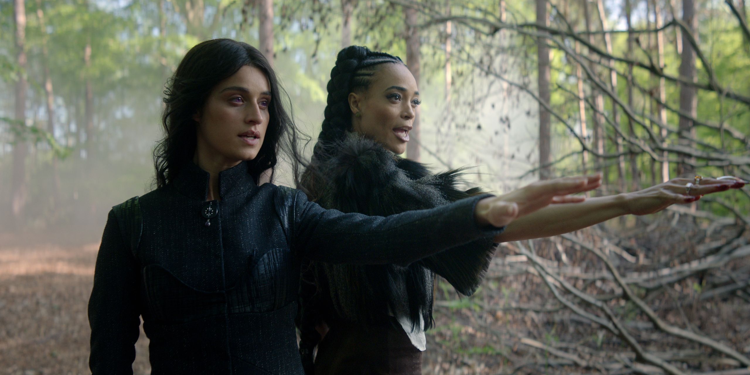 "Wiedźmin", sezon 4