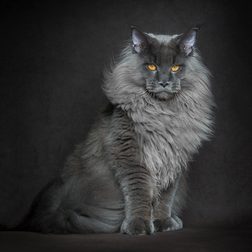 Grono Polaków wśród nagrodzonych w konkursie Fine Art Photography Awards 11