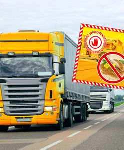 Żywność z Kazachstanu jechała do Polski Odrażające odkrycie służb