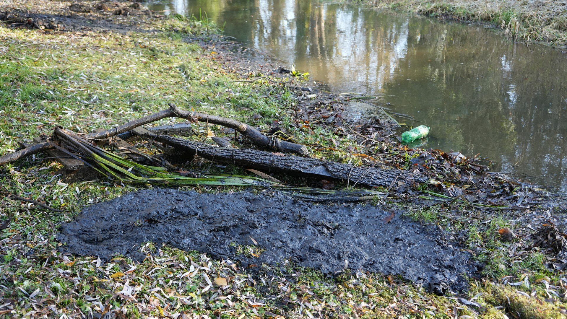 Na ratunek małżom Doliny Baryczy