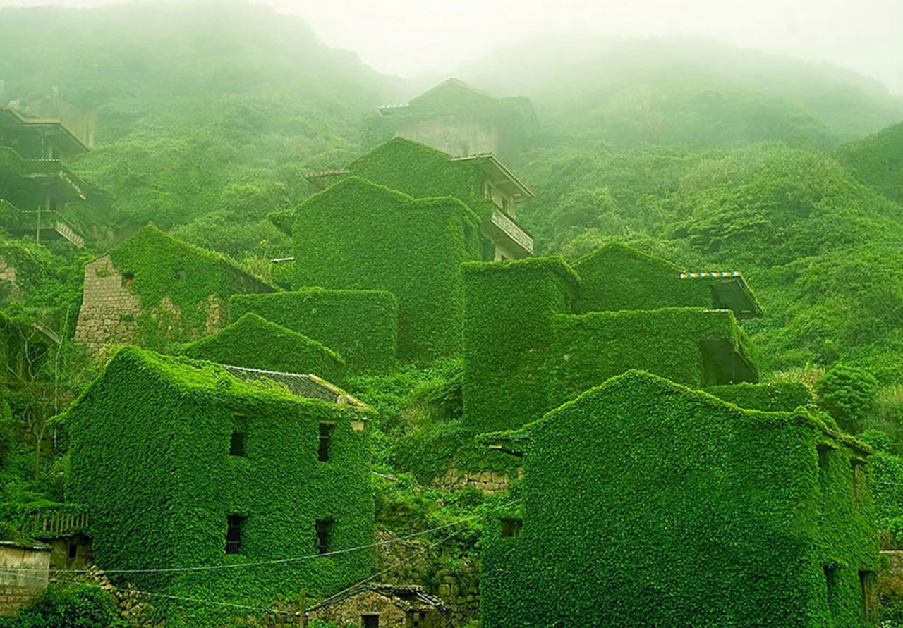 Natura pokazała swoją siłę. Cała wioska została pokryta zielenią